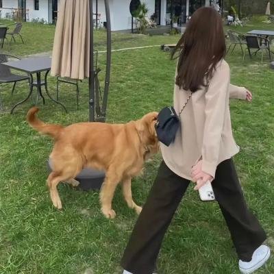 亨利和他的六个老婆 在线观看